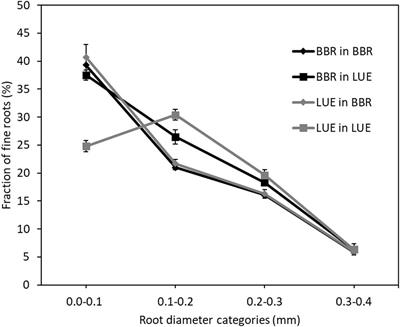 Plant Nutritional Status Explains the Modifying Effect of Provenance on the Response of Beech Sapling Root Traits to Differences in Soil Nutrient Supply